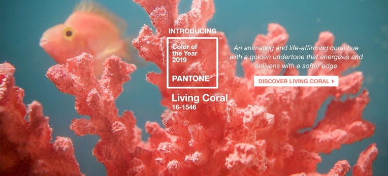 pantone-color-of-the-year-2019-living-coral-homepage